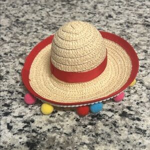 Dog Sombrero Hat